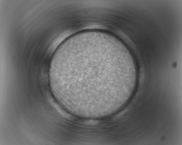 X0000115191321200911251411