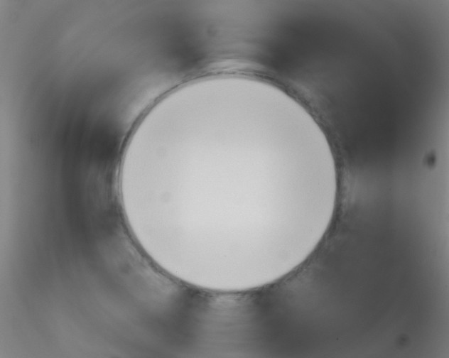 X0000115191322200911251411