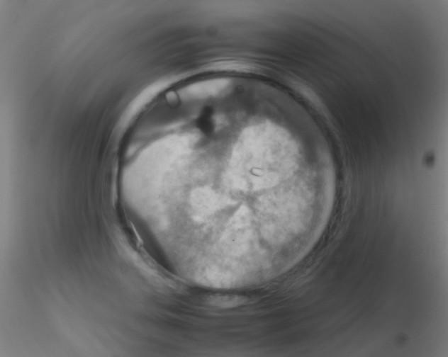 X0000115191323200911251411