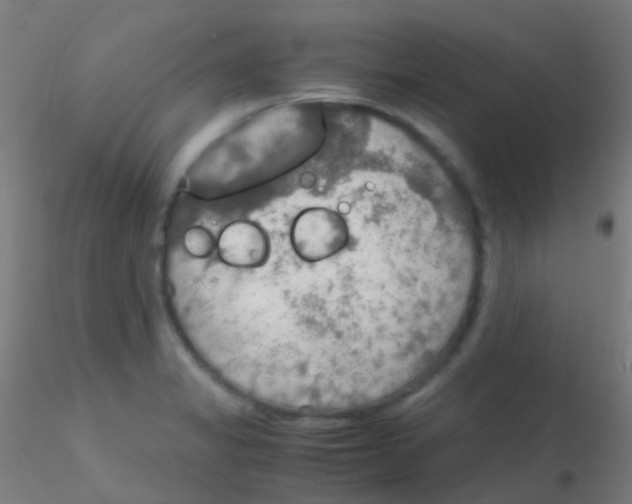 X0000115191325200911251411