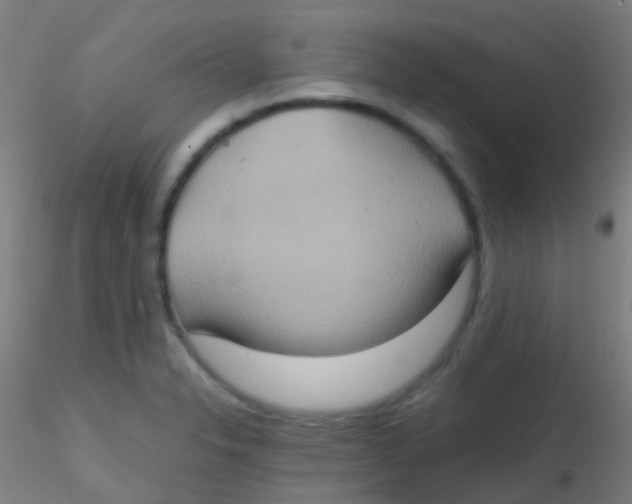 X0000115191326200911251411