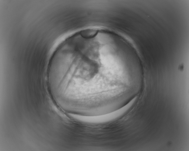 X0000115191327200911251411