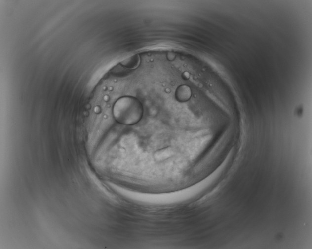 X0000115191329200911251411