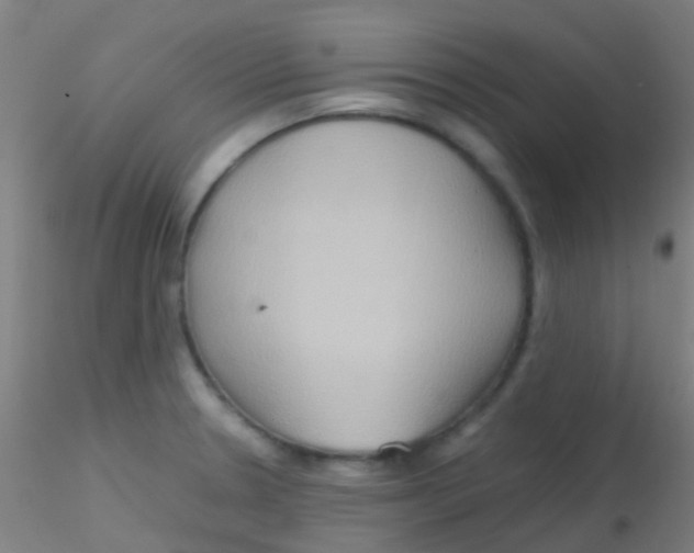 X0000115191330200911251411