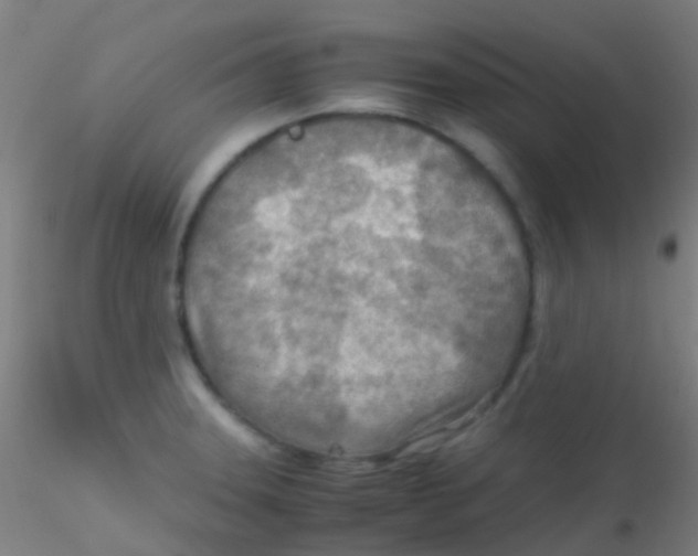 X0000115191331200911251411