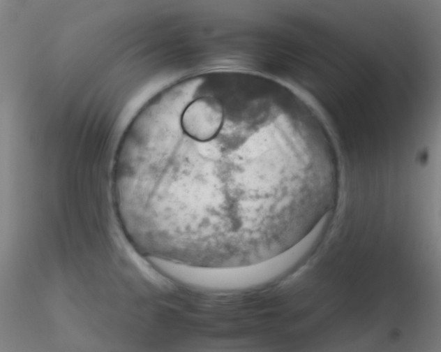 X0000115191333200911251411