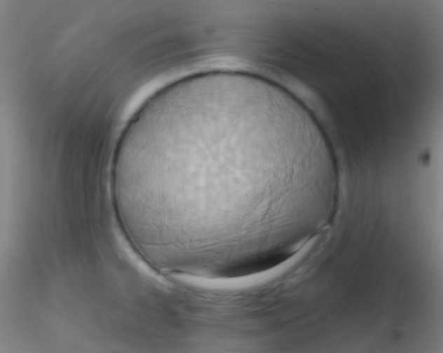 X0000115191334200911251411