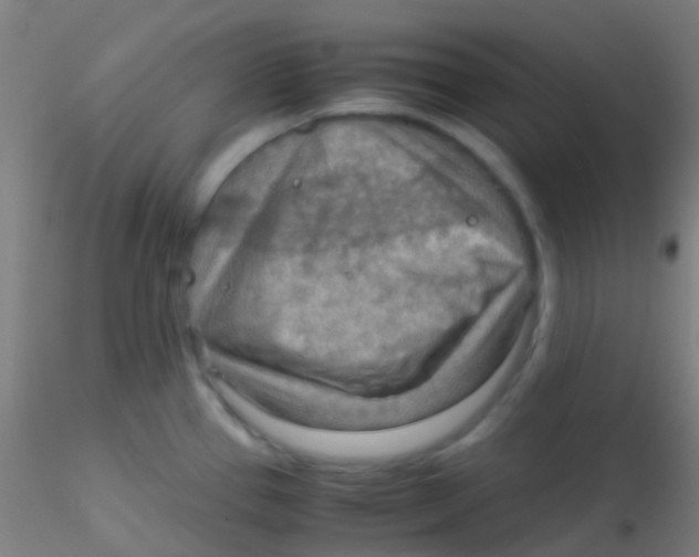 X0000115191337200911251411