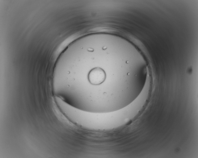 X0000115191338200911251411