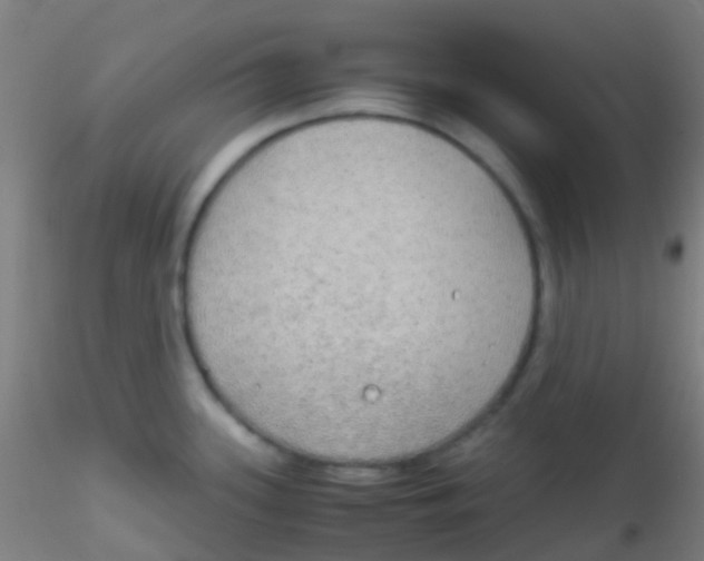 X0000115191339200911251411