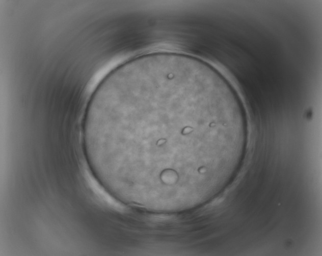 X0000115191341200911251411