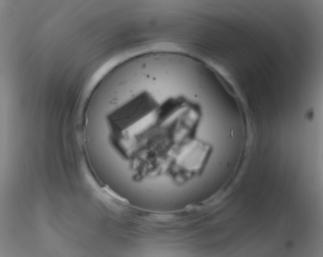 X0000115191342200911251411