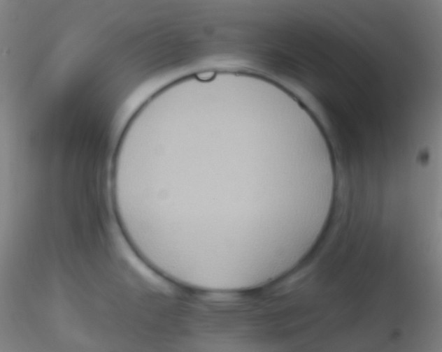 X0000115191343200911251411