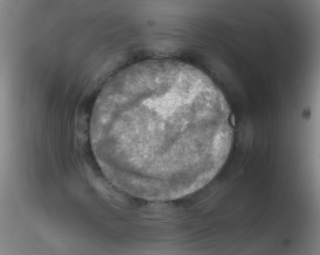 X0000115191346200911251410