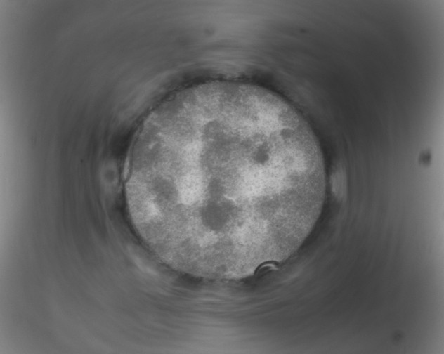 X0000115191347200911251410