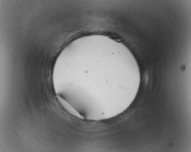 X0000115191348200911251410