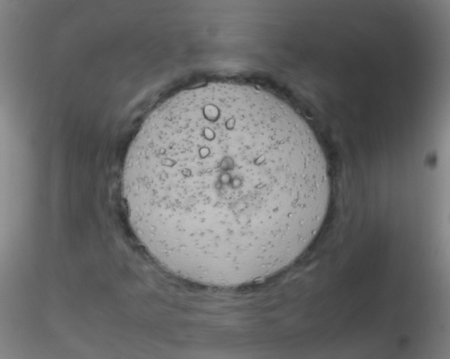 X0000115191349200911251410