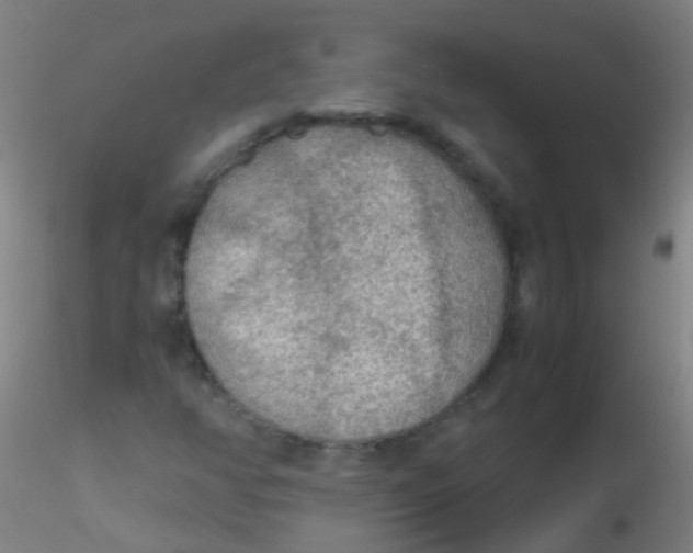 X0000115191350200911251410