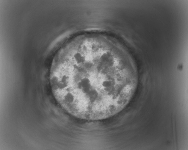 X0000115191351200911251410