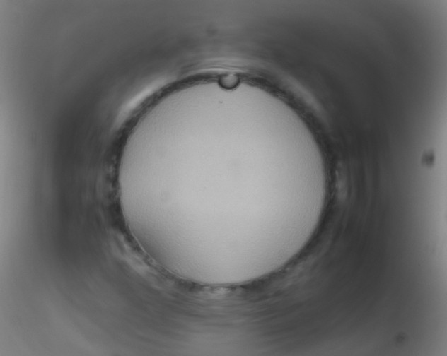 X0000115191352200911251410