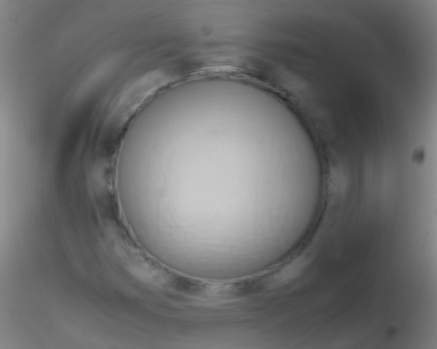 X0000115191353200911251410