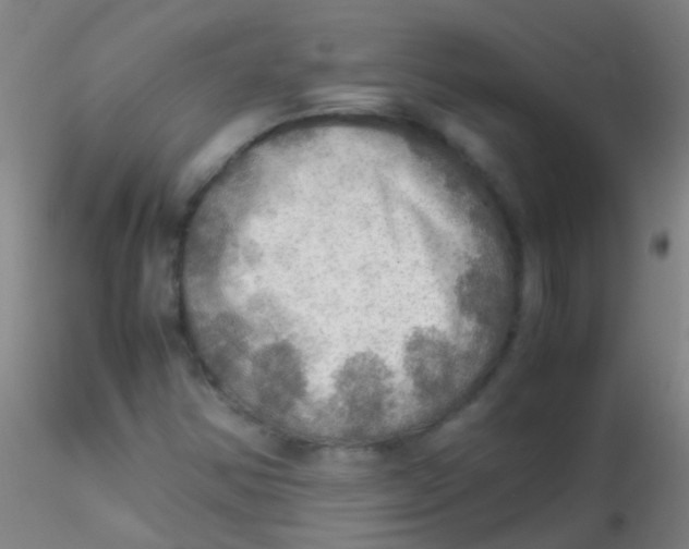 X0000115191354200911251410