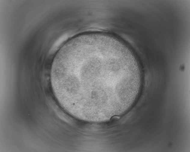 X0000115191355200911251410