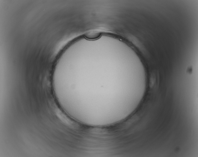 X0000115191356200911251410