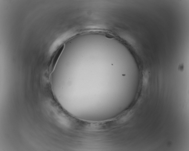 X0000115191357200911251410