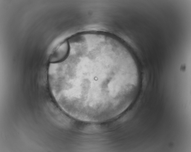 X0000115191358200911251410