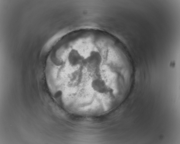 X0000115191359200911251410