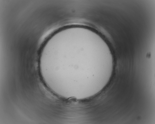 X0000115191360200911251410