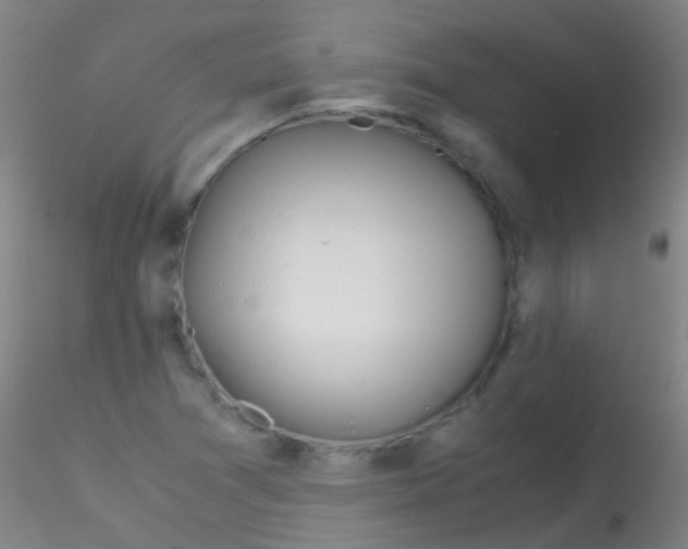 X0000115191361200911251410