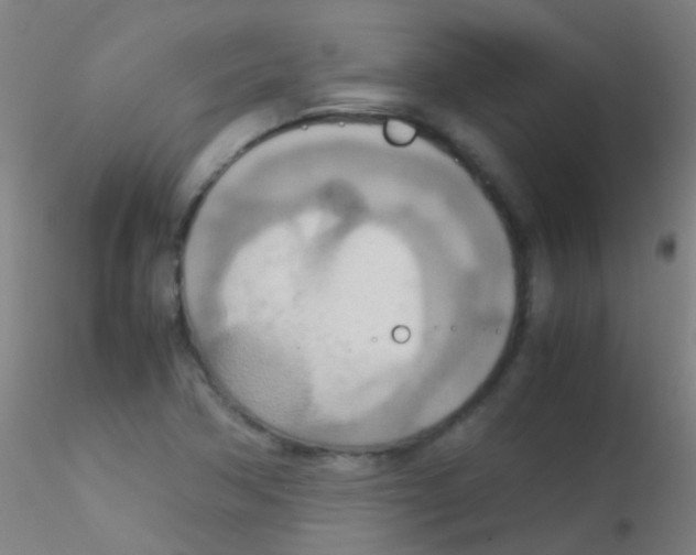 X0000115191362200911251410