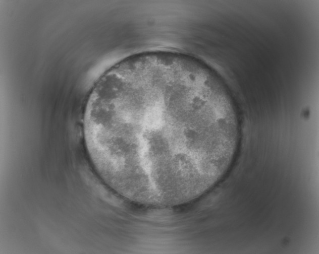 X0000115191363200911251410