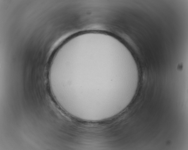 X0000115191364200911251410