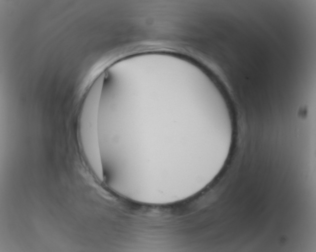 X0000115191365200911251410