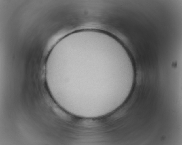 X0000115191366200911251410