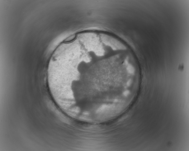 X0000115191367200911251410