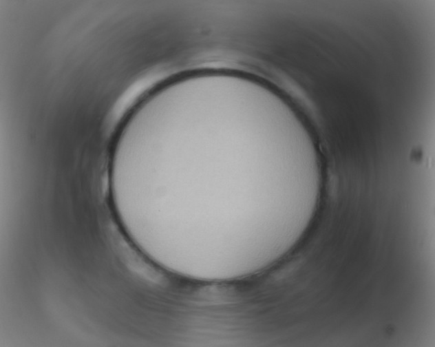 X0000115191368200911251410