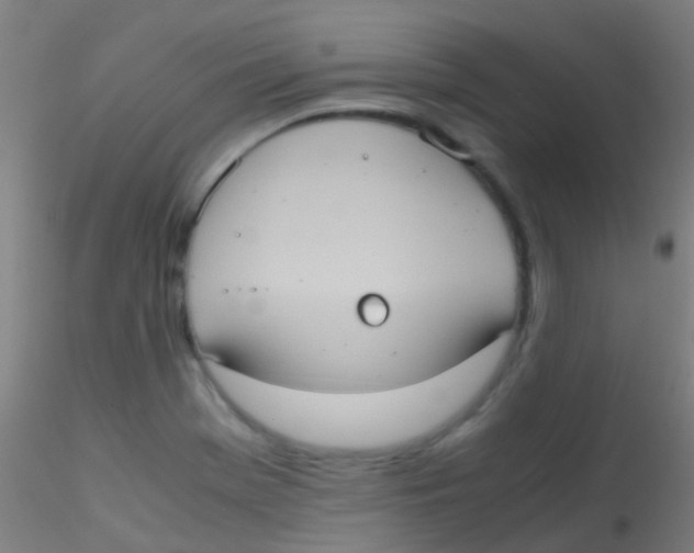 X0000115191369200911251410