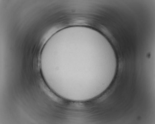 X0000115191370200911251410