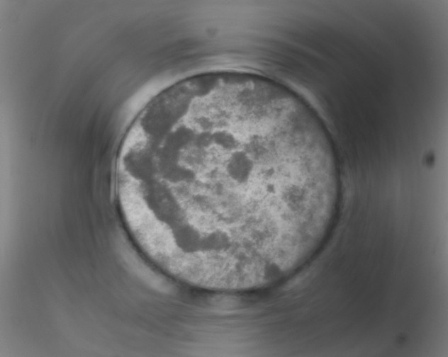 X0000115191371200911251410