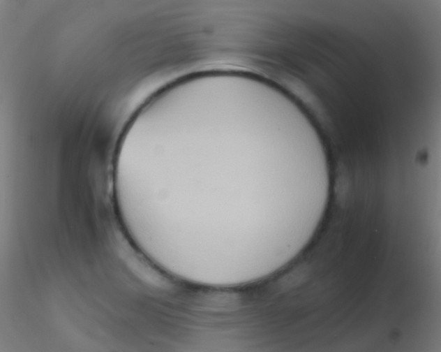 X0000115191372200911251410