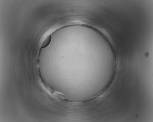 X0000115191373200911251410