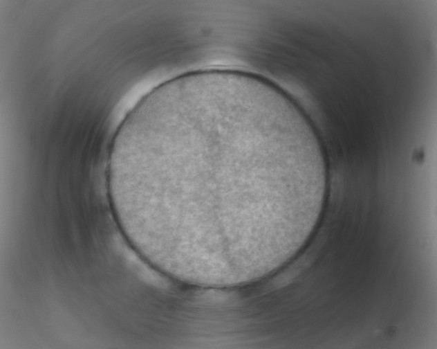 X0000115191374200911251410