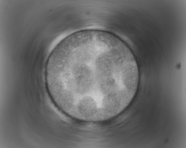 X0000115191375200911251410