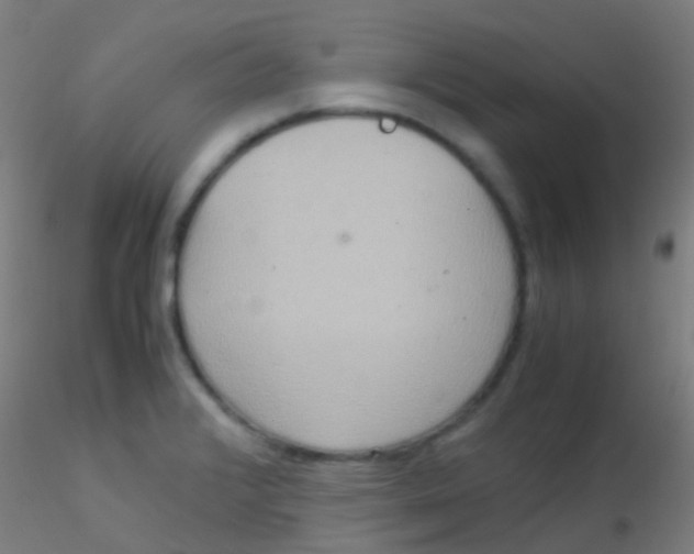 X0000115191376200911251410