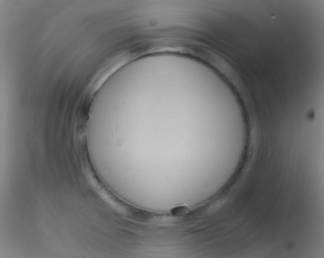 X0000115191377200911251410