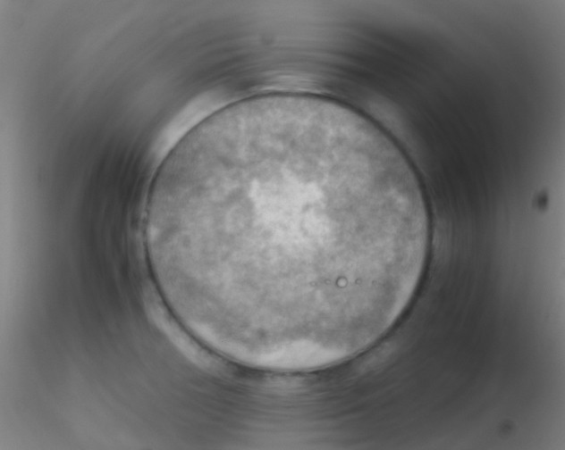 X0000115191378200911251410